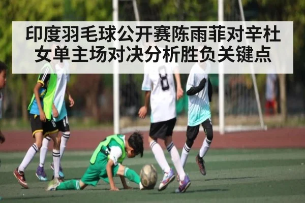 印度羽毛球公开赛陈雨菲对辛杜女单主场对决分析胜负关键点